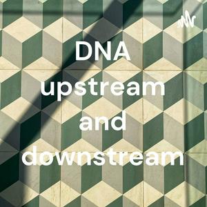 DNA upstream and downstream