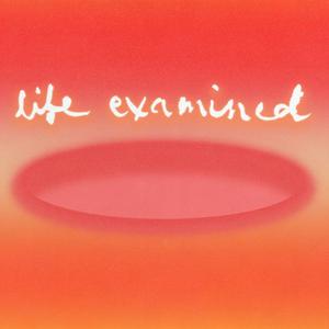 Life Examined