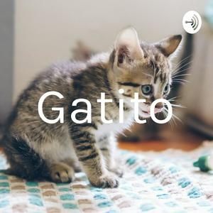 Gatito
