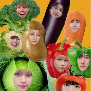 historias de terror de stray kids