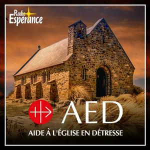 L’Église en détresse