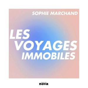 Les Voyages immobiles