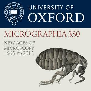 Micrographia 350