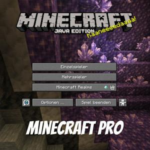 Minecraft Pro - Tipps und Tricks