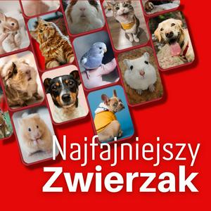 Najfajniejszy Zwierzak