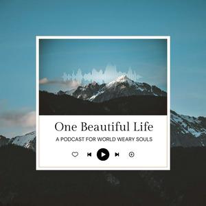 One Beautiful Life