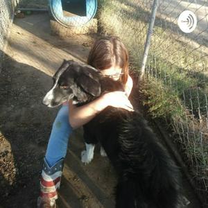 Service Dog World