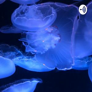The Abyss Speaker