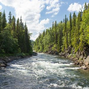 The Red Deer River