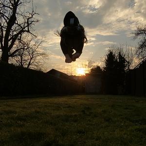 𝐁𝟑𝟒𝐧’𝐬 𝐭𝐞𝐫𝐫𝐢𝐭𝐨𝐫𝐢𝐮𝐦 (therian tips and talks)