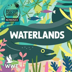 Waterlands