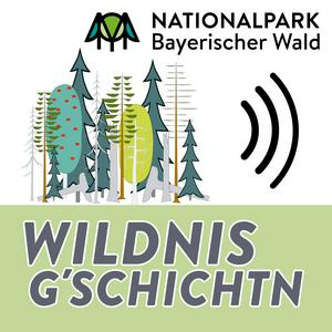 Wildnis G'schichtn